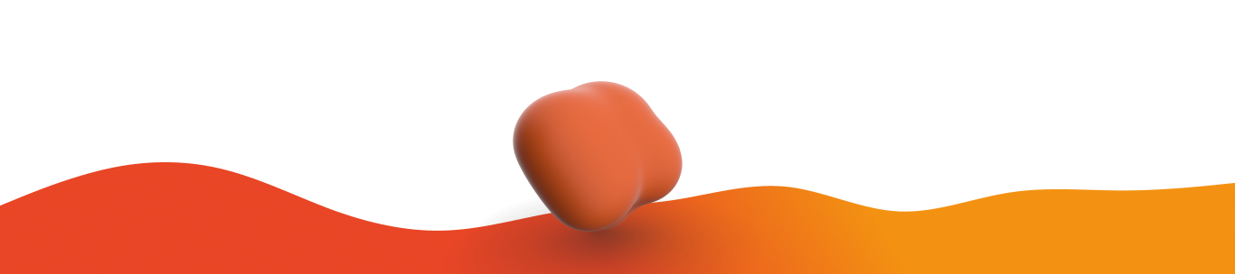 Universidad Oferta educativa